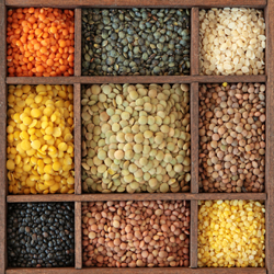 Lentils/Pulse/Dal