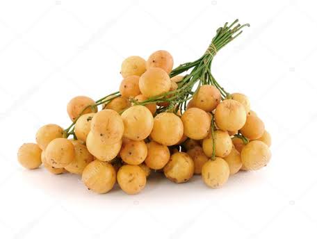 Baccaurea Motleyana (Lotkon)