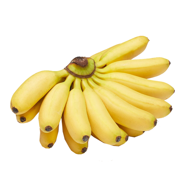 Baby Bananas 1.5 Lb