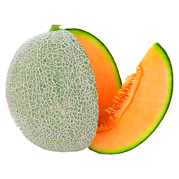 Cantaloupe