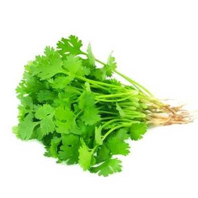 Coriander Leaves (Dhoniya Pata)