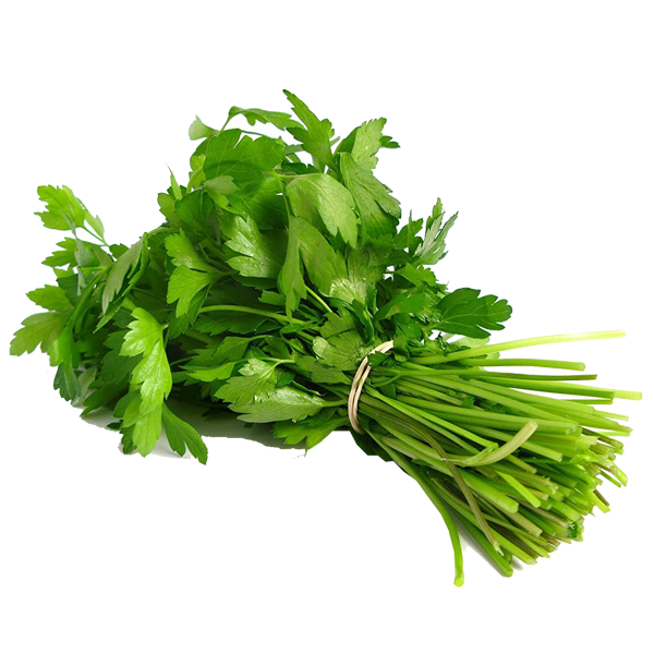 Coriander Bunch 2 Pack