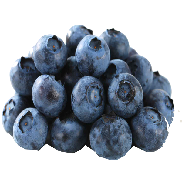 Blueberry Pack